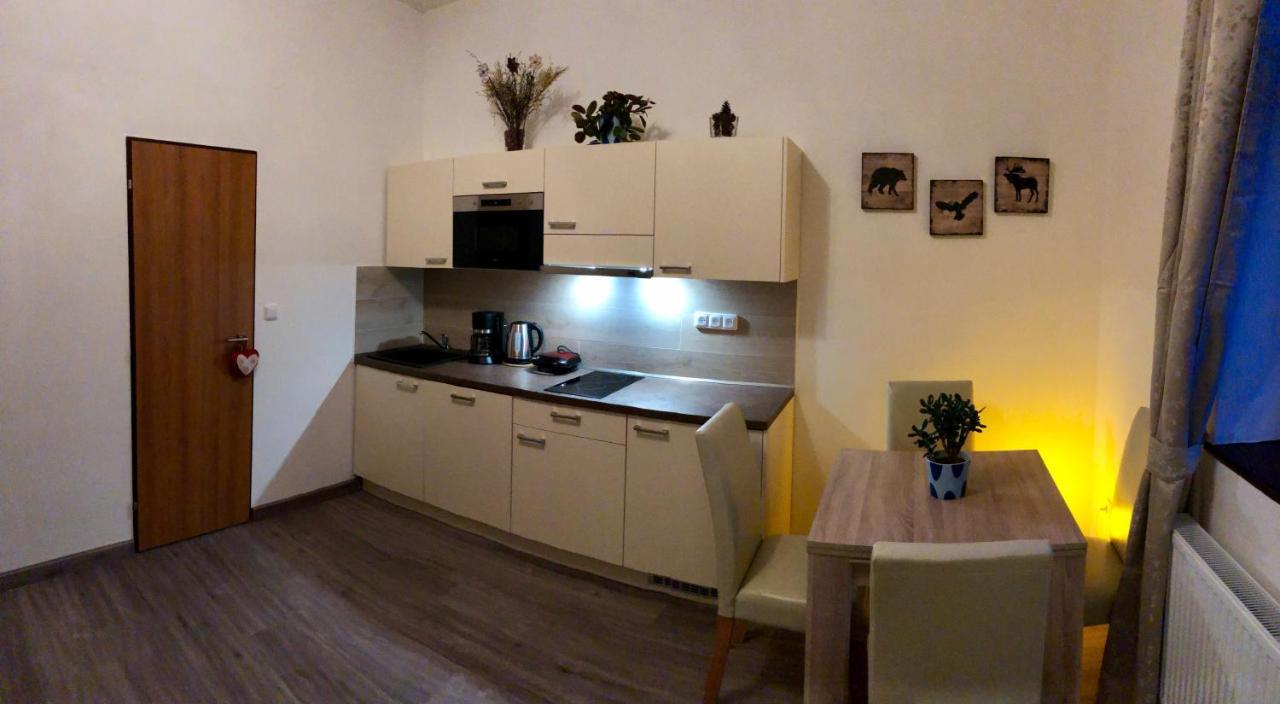 Yellow Street Apartment ロキトニツェ・ナト・イゼロウ エクステリア 写真